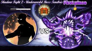 Shadow Fight 2 | Underworld  | Tier 3 | Tenebris: First place(boss weapons).  [IOS / iPad]