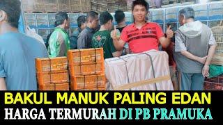 REKOMEND KIOS PALING BERANI KASIH HARGA TERMURAH KIOS SIGIT PASAR BURUNG PRAMUKA HARI INI