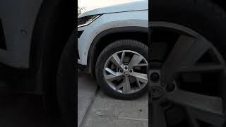 Skoda Kodiaq DSG 7 DQ500 треск и стук