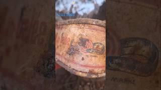 первая мировая война немецкие консервы угрь в желе #germanmilitary #metaldetecting #копвпосадке