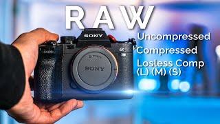 SONY a7iv: Uncompressed RAW vs Lossless Comp (L) (M) (S) vs Compressed RAW