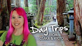 Day Trips from Osaka & Kyoto ️  (Kansai, Japan)