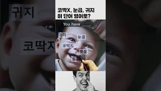 눈,코,귀에서 나오는 것들  영어로? #영어회화
