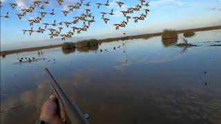 5 Man Teal Beat Down In The Everglades