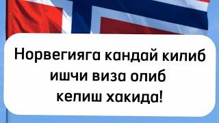 Норвегияга ишга бориш! Норвегияга кандай килиб ишчи виза олиб келиш хакида!