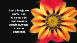 O Livro dos Espíritos - frases espíritas de amor e consolação - Espiritismo