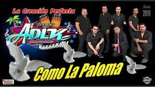 COMO LA PALOMA -GRUPO ADLK - CUMBIA DE ESTRENO