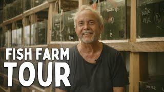 50-Year Journey Farming Aquarium Fish | Documentary