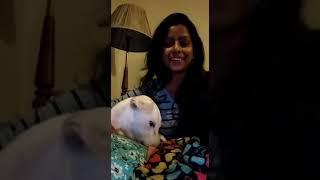 Pawspace Happy Customer