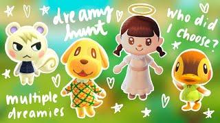 Chaotic yet ~Rewarding~ Dreamie Hunt - Villager Hunting Animal Crossing: New Horizons