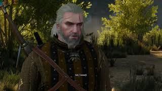 i5 9600K + GTX 1080 Ti - WITCHER 3 (1440P + MAX ULTRA Settings)