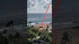 Notice how much seaweed the tractor is removing at the Haulover Inlet beach. Filmed by Scott