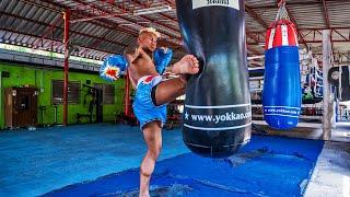 New-in Muay Thai Shorts & Gloves | YOKKAO SMASH Collection