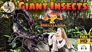 The Amazing World of Giant Insects  | InsectLandia at Clark Pampanga