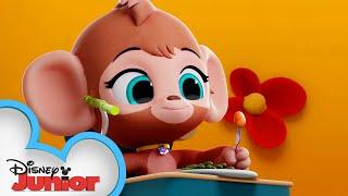 Happy Thanksgiving from TOTS  | T.O.T.S. | Disney Junior