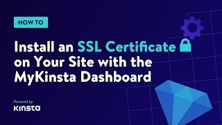 How to Install an SSL Certificate on Your WordPress Site using the MyKinsta Dashboard