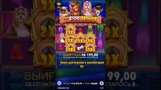 Занос в Dog House 20 x1208 Pragmatic Play big win