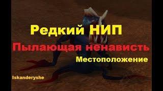 Редкий НИП - "Пылающая ненависть" - Местоположение.