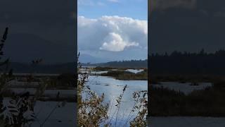 Wind on the lake in early November #nature