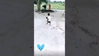 Arnik Masti #funny #cute #cutebaby