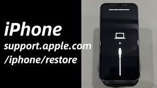 How to Fix iPhone support.apple.com/iphone/restore (without computer) | Four Steps