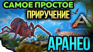 ЛУЧШЕЕ ПРИРУЧЕНИЕ АРАНЕО В ARK MOBILE! #ark #arkmobile #арк #аркмобайл #приручение #taming #trending