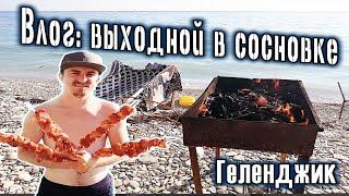 ВЛОГ: #Шашлык на берегу моря \ Дикий пляж #сосновка #Геленджика