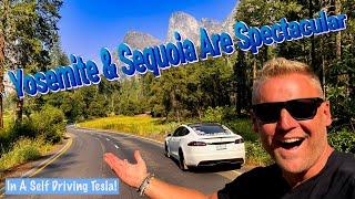 Exploring Yosemite & Sequoia National Parks While Living In My Self Driving Tesla!