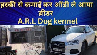 A.R.L dog kennel #husky #husky kennel #huskylife #doglover #breeding #puppylove #haridwar #viral