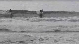 SPA DOG COMPANY - SURF SESSION