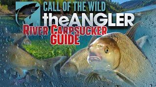 RIVER CARPSUCKER Guide, Golden ridge reserve EVERYTHING YOU NEED! | Call of the wild the angler