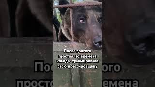 Туся #конюшня #медведь #туся