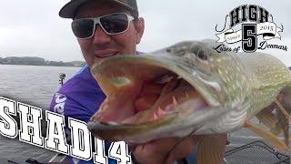 ENGLISH: Follow Dennis BomBom on a day on the water!