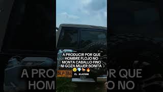 ℰ𝓁 𝒜𝓁𝒶𝒸𝓇𝒶𝓃 . #toyotero #viral #elalacran #caballista #lujos #ToyoFans