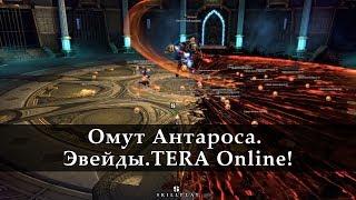 Омут Антароса Нормал. Эвейды. TERA Online