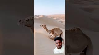 Saddam Husain YouTube channel