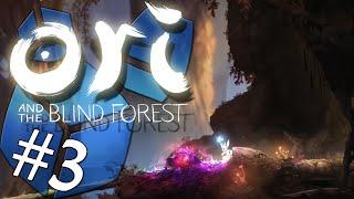 Ori and the Blind Forest Part 3 -  Into the Hollow Grove