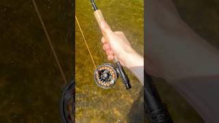 #bonix #fishing
