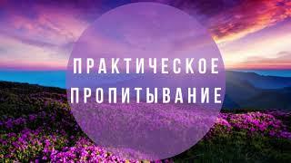 "ПРАКТИЧЕСКОЕ ПРОПИТЫВАНИЕ" практика: за столом Отца. Валерий Гусаревич . 26.04.2020