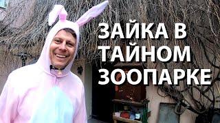 Экскурсия "Проходные дворы Москвы". В чем гений Эйзенштейна?