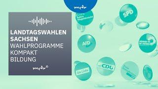 Bildung – Das planen Sachsens Parteien | Podcast Wahlprogramme kompakt | MDR