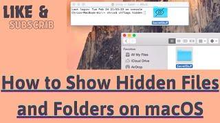 How to Show Hidden Files and Folders on macOS