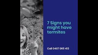 How can you tell if you have white ants | 7 Signs you might have termites