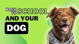 Tips for a Smooth Back-to-School Transition for Your Pet