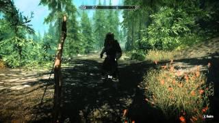 SkyrimTime #5