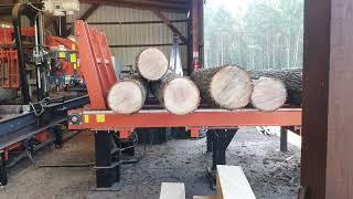 WOODMIZER WB 2000   - INDUSTRIAL SAWMILL  at work