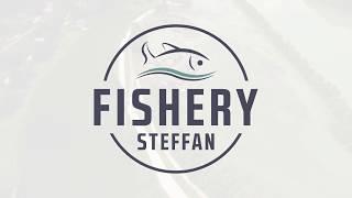 Fishery Steffan Austria Carp Hub promo Video