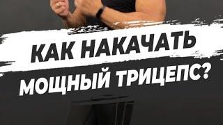  КАК НАКАЧАТЬ МОЩНЫЙ ТРИЦЕПС?