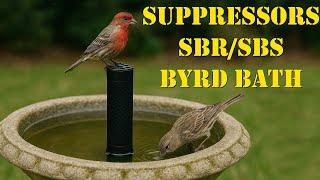 IMMINENT: Hearing Protection Act & SHORT Act Get the Byrd Bath