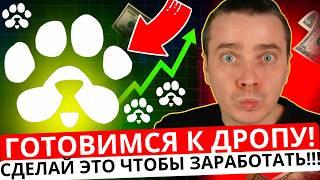 ️ PAWS 🟢СРОЧНО🟢 ГОТОВИМСЯ К ДРОПУ! КАК КУПИТЬ ИЛИ ПРОДАТЬ ВАУЧЕРЫ PAWS! СДЕЛАЙ ЭТО ЧТОБЫ ЗАРАБОТАТЬ